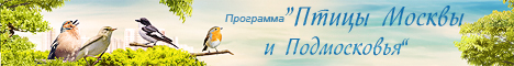 Программа "Птицы Москвы и Подмосковья"